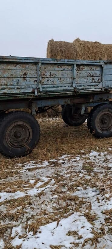 naxcivan avtomobil elanlari: Lapet senetsizdi — 2