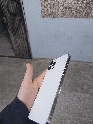 ipad mini 2: IPhone 12 Pro Max, 128 GB, Gümüşü — 2