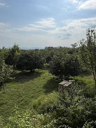 mərdəkanda bağ evləri: 6 sot, Tikinti, Kupça (Çıxarış) — 9