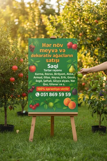 qapılar və qiymətləri: Meyvə və dekorativ ağac tingləri Təsvir: - Tərtər rayonu ərazisində — 3