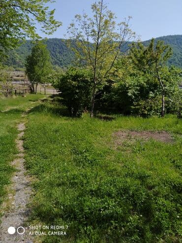 18 sot, Biznes üçün, Mülkiyyətçi, Kupça (Çıxarış)