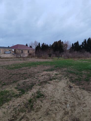 mehdiabadda evlər: 30 sot, Tikinti, Maklerlər narahat etməsin, Kupça (Çıxarış) — 3