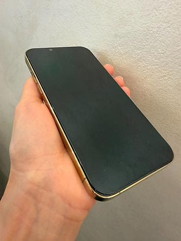 apple watch 1: IPhone 13 Pro Max, 128 GB, Qızılı, Face ID — 4