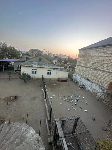 элитные 3 комнатные квартиры: Teze corat Torpaq satilir 5 sot ev qarışıq butun senedler — 1