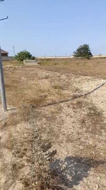 elite: 44 sot, Tikinti, Mülkiyyətçi, Bələdiyyə — 3