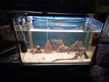 фильтр для аквариума: Akvaryum komplekti – şkaflı, sump filtrasiyalı - Şəffaf ön və yan — 4