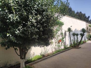 lacın ev: Bakı, Fatmayı, 196 kv. m, 4 otaqlı, Hovuzsuz, Kombi, Qaz, İşıq — 15