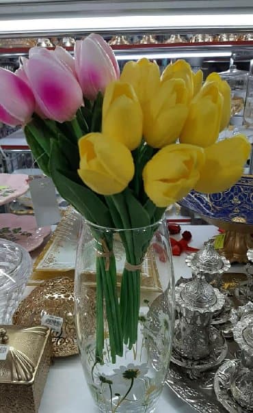 suni güller sederek: Selekon tülpanlar — 1