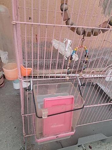 Akvarium aksessuar və ləvazimatları: Qəfəs və aksesuar dəsti – xırda ev quşları üçün - Ölçü: orta həcmli — 9