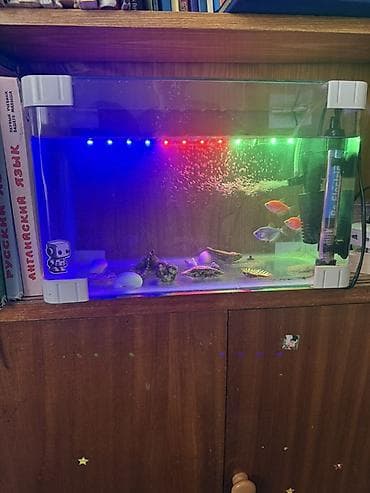ocean filter: Komplekt akvarium dəsti - Şüşə akvarium: kompak ölçülü, düz kənarlı — 1