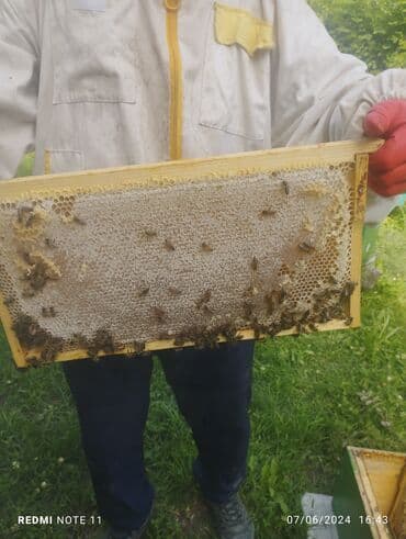 дистиллированная вода баку: Мёд — 3