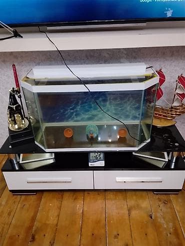 TV STEND AYRI SATILIR ALVARIUM AYRI SATILIR DEST WEKLINDEDE SATILIR
