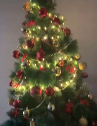 Bitkilər: 100 manata oyuncaqların sayı 80ədəddən çox, hündürlüyü 2,10 metr olan — 4