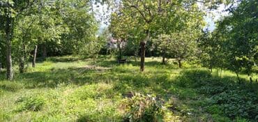 объявления о продаже земельных участков: 10 соток, Для сельского хозяйства — 13