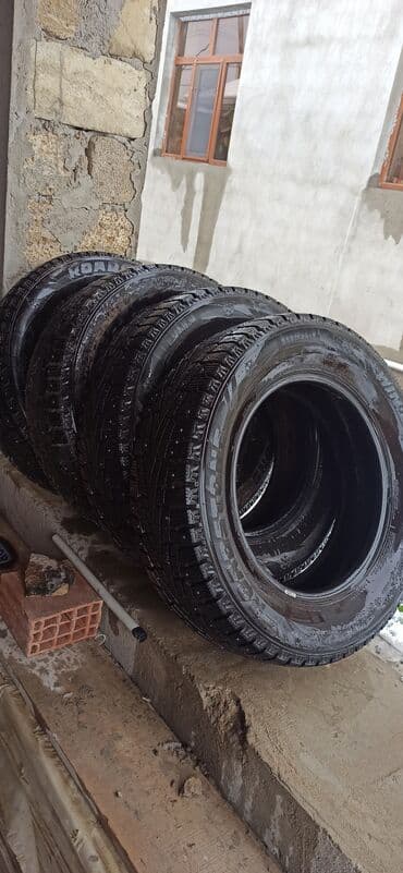 Bıçaqlar: İşlənmiş Şin Roadstone 235 / 65 / R 17 — 7