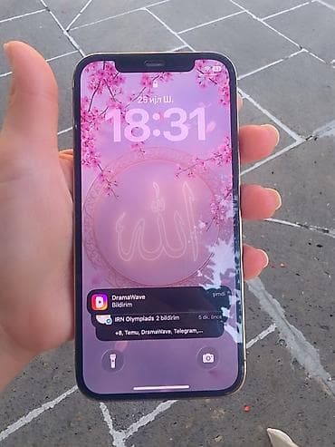Gümüşü, Face ID — 2