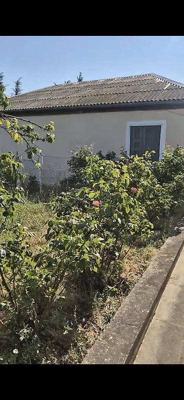 1 sot torpaq satilir: Bağ evi və geniş həyətyanı sahə - Yaşıl, meyvə ağacları ilə zəngin — 2