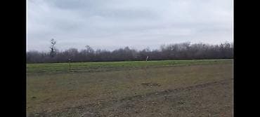 genclik kiraye evler: Kənd təsərrüfatı — 2