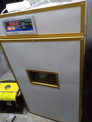 Generator hediyye verilir!!!Toyuq ucun yalniz 528 yumurta real alici