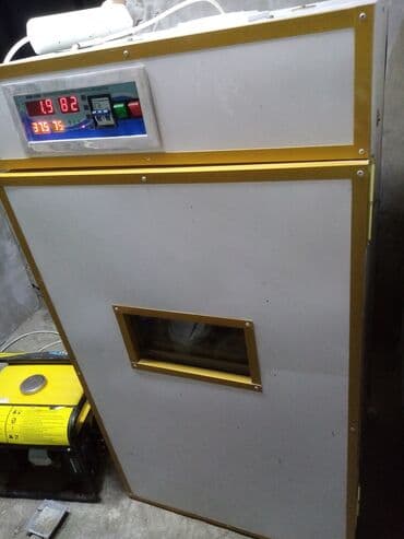 Soyuducu avadanlığı: Generator hediyye verilir!!!Toyuq ucun yalniz 528 yumurta real alici — 1