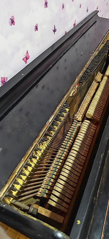 Klavişli alətlər: Pianino Ukrane — 4