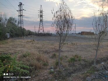 50 sot, Tikinti, Mülkiyyətçi, Kupça (Çıxarış)