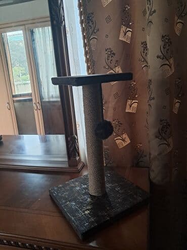 корм для кошек: Pişik oyuncağı. Yeni işlənməmiş — 2