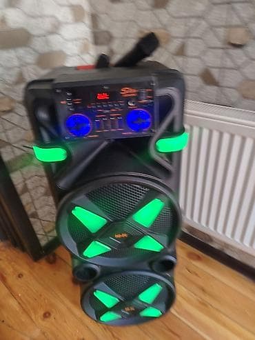 flash kart: Səs gücləndirici/karaoke kolonka – Sing-e ZQS12205 - İnteqrə olunmuş — 1