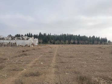 türkanda bağ evi satılır: 34 соток, Для строительства, Собственник, Купчая — 12