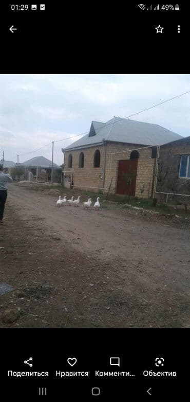 sarayda heyet evleri ucuz qiymete: 5 otaqlı, 200 kv. m — 1