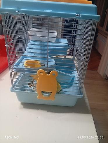 Qəfəslər: Mavi rəngli quş və xomyak üçün qəfəs ölçü:uzunluğu 26smhündürlük — 1