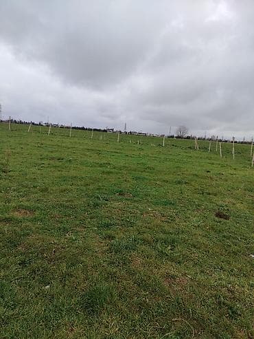 kənd: Kənd təsərrüfatı — 10