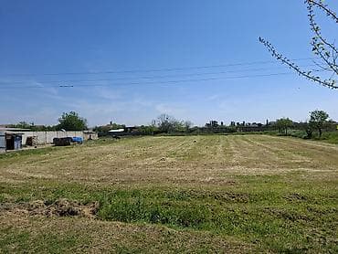 Kənd təsərrüfatı