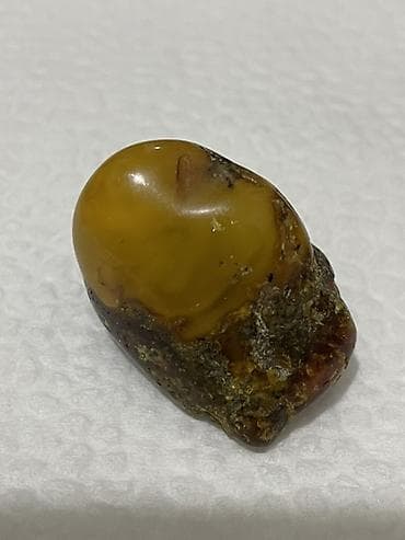 Сумки: Янтарь — 1