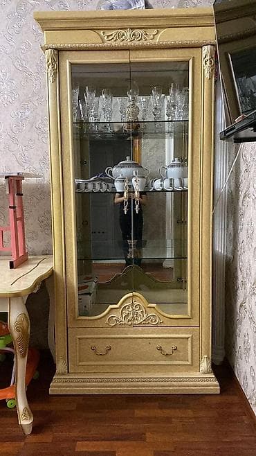 Avadanlığın icarəsi: Qapalı dolab vitrini — 1