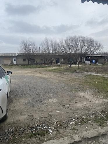 icare ofis: Satışa uyğun təsərrüfat/istehsalat sahəsi - Tikili: Bir mərtəbəli — 7