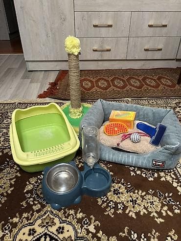 K/t heyvanları və malları: Pişik üçün tam aksesuar dəsti Dəst tərkibi: - Yumşaq, kənarları — 2