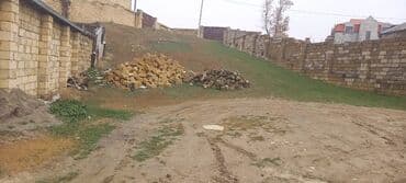 findiq agaci satilir: 4 sot, Tikinti, Barter mümkündür, Bələdiyyə — 3