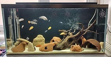 Boş, 96 l, Ünvandan götürmə, Ödənişli çatdırılma