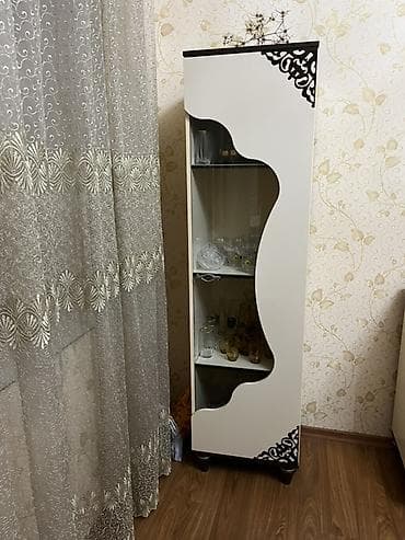 Moyka avadanlığı: Şüşəli dolab vitrini — 1