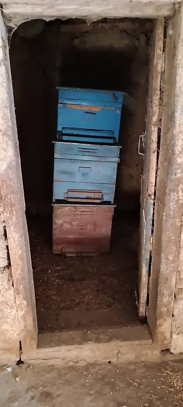 Arı yeşikləri. 10 eded ari yesiyi var qiymetler 45-60 azn arasi