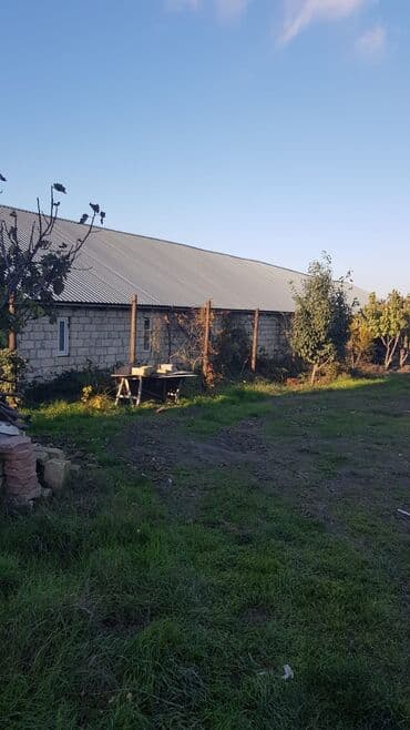 ucuz hotel: 1000 sot, Kənd təsərrüfatı, Makler, Kupça (Çıxarış) — 8