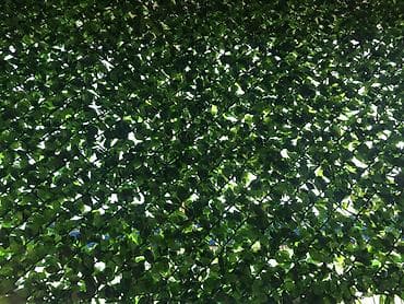 Баки: Yaşıl arakəsmə. Türkiyə istehsalı paslanmayan ikiqat məftil və dörd — 7