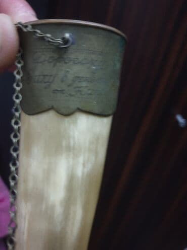 hisə verilmiş quyruq: Fil buynuzu — 2