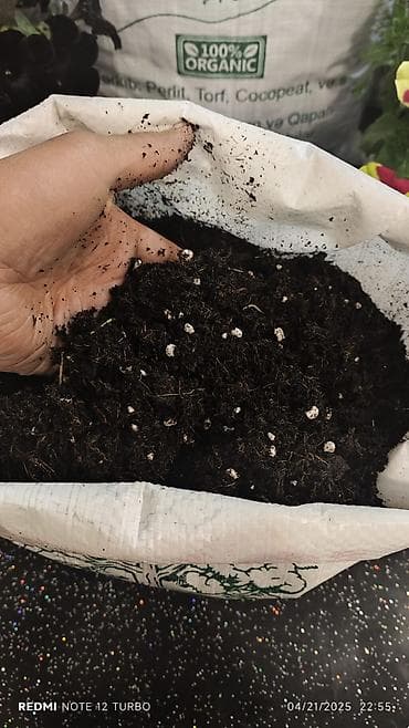 chia toxumu istifade qaydasi: Bitki üçün 100% orqanik torpaq qarışığı - Tərkib: torf, kokos lifləri — 1