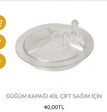 süd sagan: Cüt bidon, Türkiyə — 7