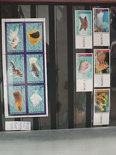 Elektrik nəqliyyatı: Müxtəlif markalar hər ölkələrdən — 4