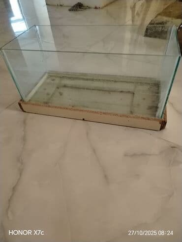 купить аквариум в баку: Şüşə akvarium - Material: şəffaf qalın şüşə divarlar, alt hissə — 2