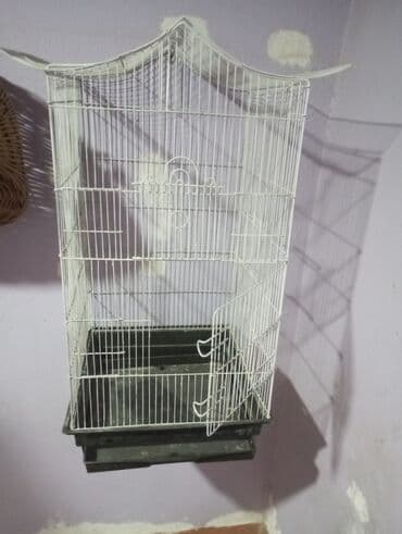 quş yuvaları: Böyük qəfef 30 manat Ünvan Bileceri — 2