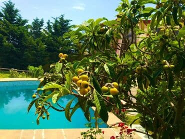 kirayə restoran: 299 kv. m, 4 otaqlı, Hovuzlu, Kombi, Kanalizasiya — 3